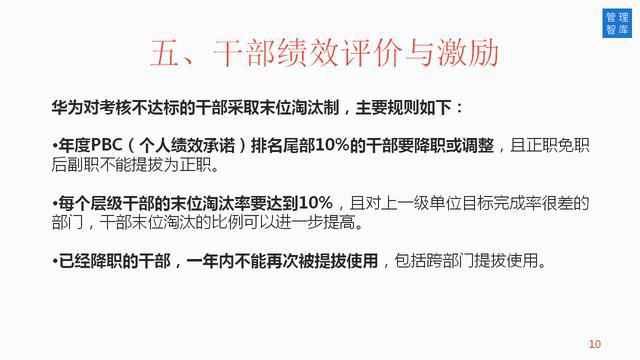 新澳2025今晚开奖资料大全，全面释义、全面解答解释落实