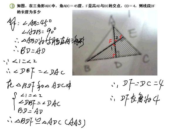 2025澳彩免费资料大全，详细解答、详细解答解释落实