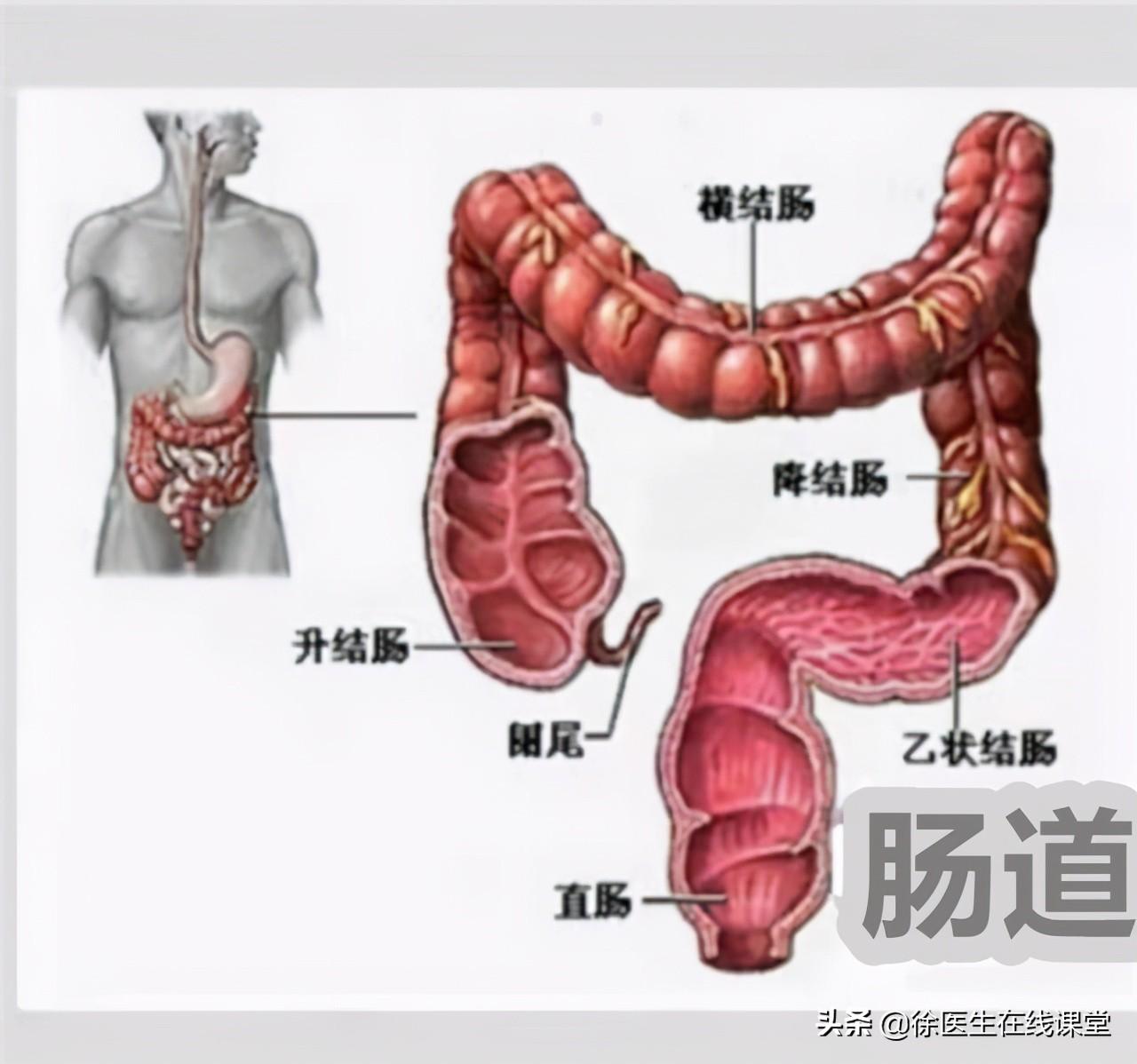 新澳门精准免费大全，详细解答、全面解答解释落实